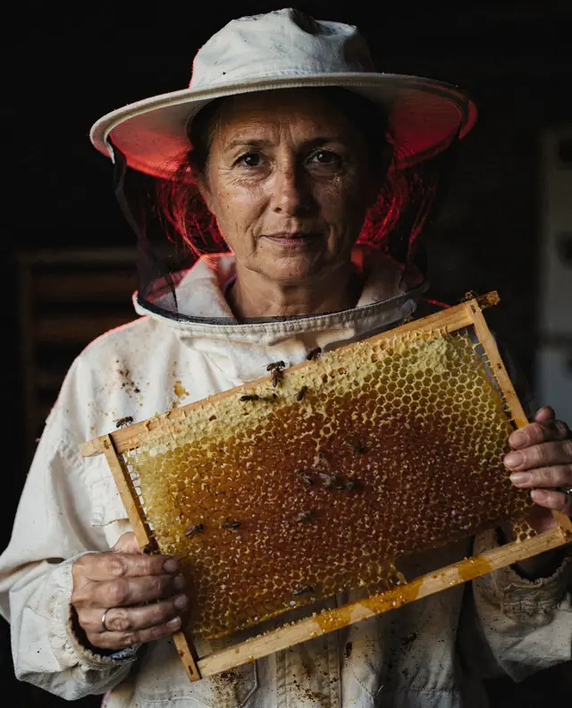 Same template: beekeeper